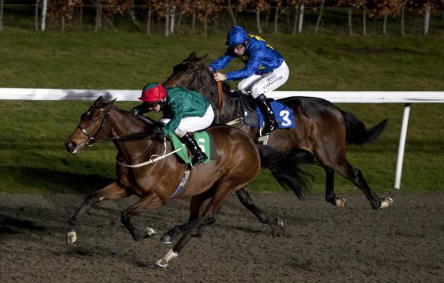 The Godolphin-owned Don't Give Up has strong claims to win at Kempton